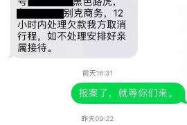 安岳专业要账公司